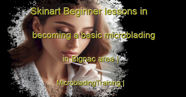 Skinart Beginner lessons in becoming a basic microblading in Bignac area | MicrobladingTraining | MicrobladingClasses | SkinartTraining-France